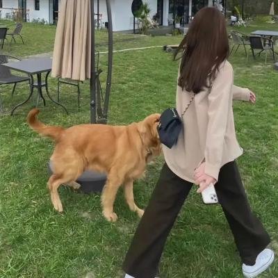 血爱杀手